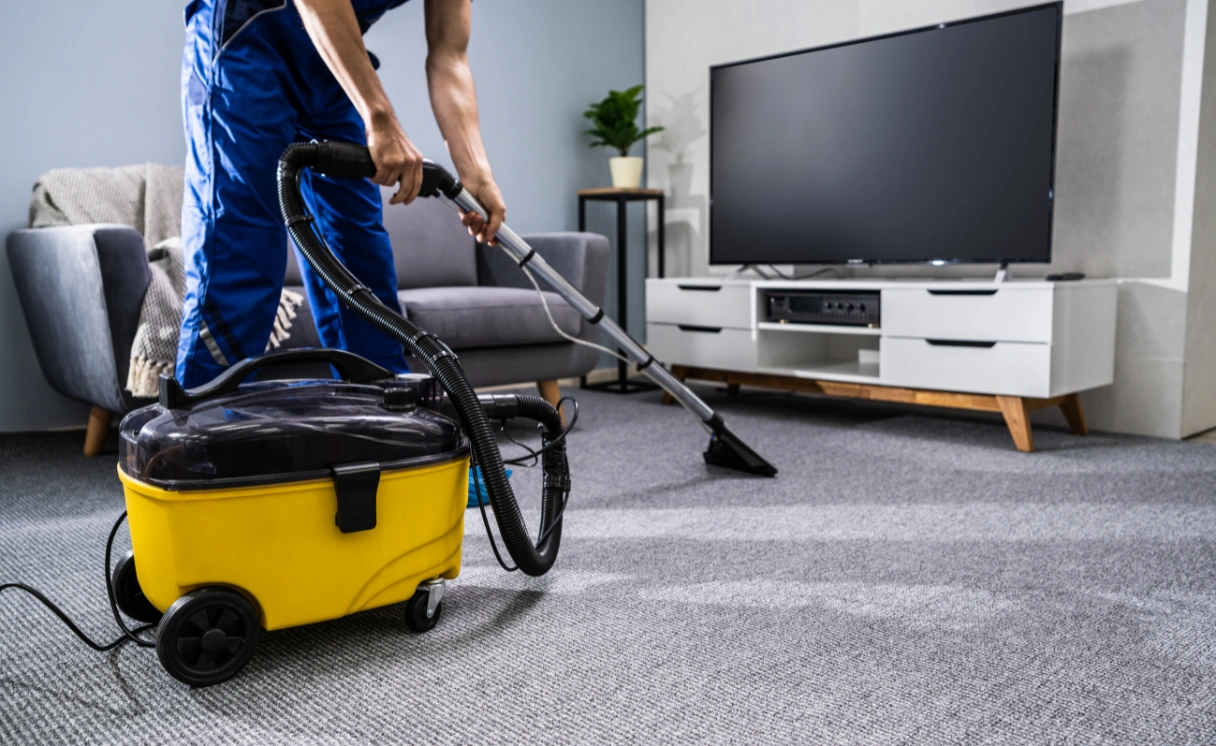 Extract Rug Cleaning Rosanna Contact Office